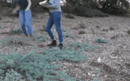 timelapse de dos mujeres recogiendo datos sobre plantas autóctonas en el Jardín Botánico de Santa Bárbara